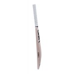 GM Icon Maestro Kashmir Willow Cricket Bat